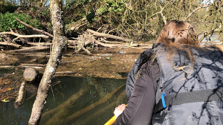 Die SWR1 Dreck weg-Woche mit SWR1 Moderator Ingo Lege macht Station in Besigheim.