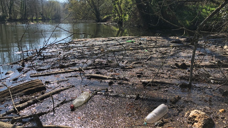 Die SWR1 Dreck weg-Woche mit Moderator Ingo Lege in Besigheim.