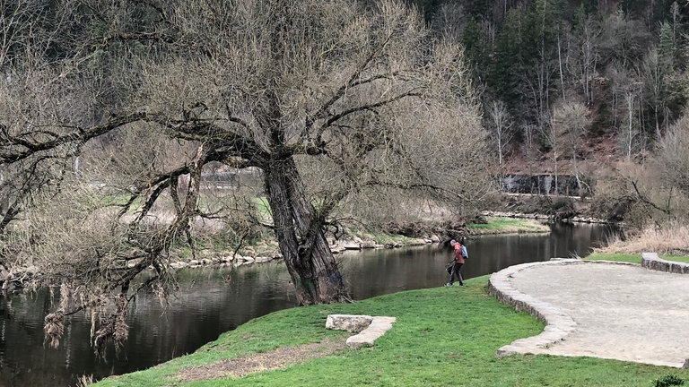 Müllsammler Andreas sammelt auf einer Wiese an der wunderschönen blauen Donau.