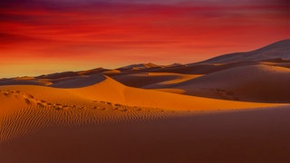 Sahara
