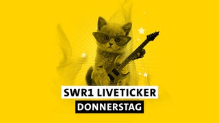 SWR1 Hitparaden-Kätzchen mit Sonnebrille, Gitarre, Sterne und dem Schriftzug "SWR1 Liveticker Donnerstag"
