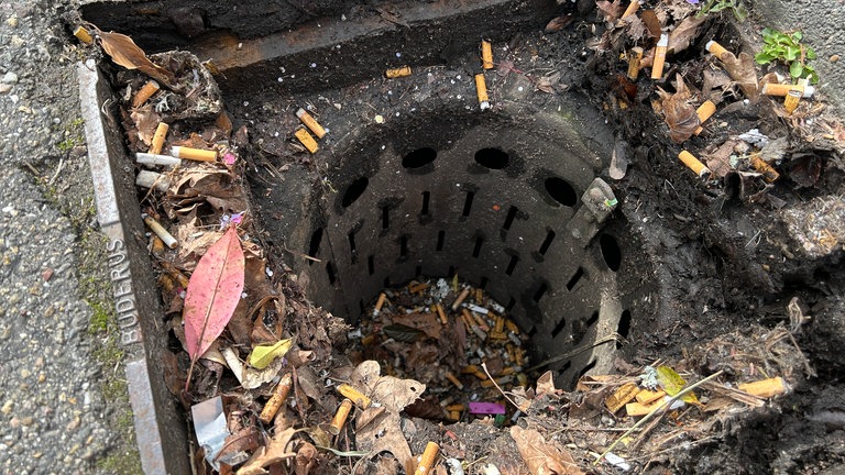 SWR1 Baden-Württemberg Moderator Ingo Lege ist heute in Waldbronn im Kreis Karlsruhe unterwegs. Seine Mission: Baden-Württemberg von Müll befreien!