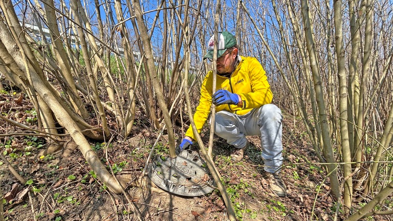 Die SWR1 Dreck weg-Woche in Aichelberg: Diese Radkappe liegt schon so lange in der Natur, dass ein Baumstamm durch gewachsen ist.