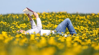 Ein Mann liegt in einer Wiese mit blühendem Löwenzahn in der Sonne und liest ein Buch. Wir haben die besten Bücher und Buchtipps für euch.