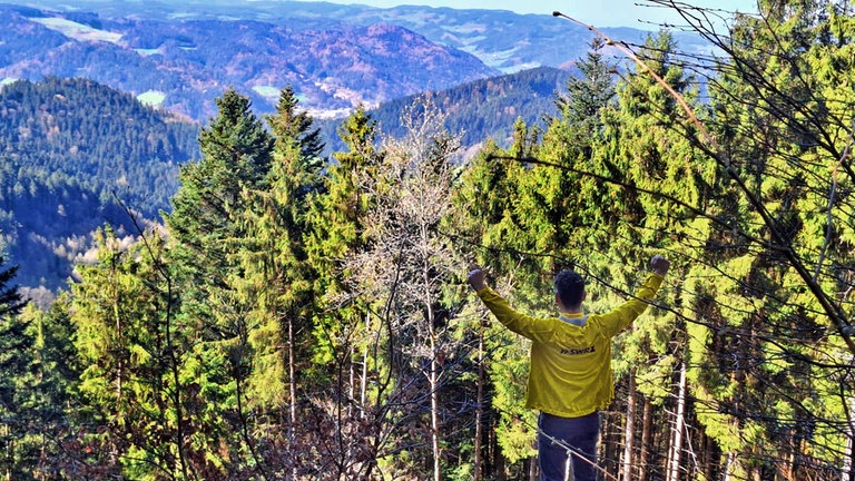 Schwarzwald-Ausblick