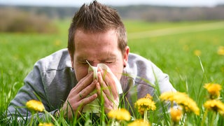 Ein junger Mann liegt in einer blühenden grünen Wiese im Gras und niest in ein Taschentuch. Der Lungenfacharzt Kai-Michael Beeh spricht in SWR1 Leute über Heuschnupfen, Allergien und andere Lungenkrankheiten wie COPD.