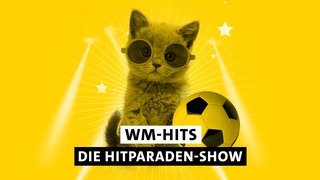 Kätzchen mit Fußball und Schriftzug "WM-Hits Die Hitparaden-Show"
