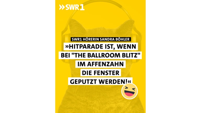 Hitparde ist, wenn im Affenzahn die Fenster geputzt werden