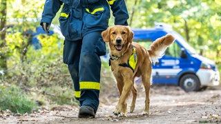 Ein Hundeführer mit einem Rettungshund.