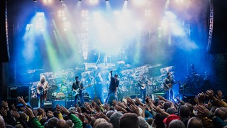 Fury In The Slaughterhouse