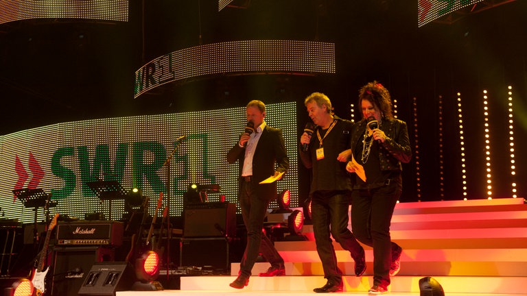 Finale der SWR1 BW Hitparade 2011 in der Hanns-Martin-Schleyer-Halle Stuttgart