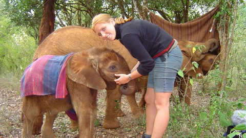 Wie Elefanten kommunizieren, wie sie sich vor Gefahren warnen und ob etwas dran ist, an dem Sprichwort: ein Gedächtnis wie ein Elefant? Das erklärt Verhaltensforscherin Angela Stöger in SWR1 Leute.