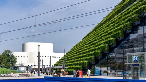 Eine grüne Fassade in Düsseldorf, die aus über 30.000 Hainbuchen besteht und gut 8 Kilometer lange ist. Wie können sich Städte an Hitze anpassen, wie sehen klimaangepasste Gebäude und Quartiere aus? Das erforscht Prof. Lamia Messari-Becker. Sie ist zu Gast in SWR1 Leute.