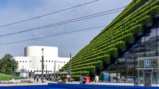 Eine grüne Fassade in Düsseldorf, die aus über 30.000 Hainbuchen besteht und gut 8 Kilometer lange ist. Wie können sich Städte an Hitze anpassen, wie sehen klimaangepasste Gebäude und Quartiere aus? Das erforscht Prof. Lamia Messari-Becker. Sie ist zu Gast in SWR1 Leute.