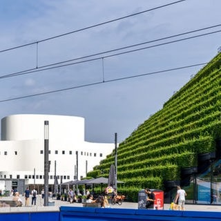 Eine grüne Fassade in Düsseldorf, die aus über 30.000 Hainbuchen besteht und gut 8 Kilometer lange ist. Wie können sich Städte an Hitze anpassen, wie sehen klimaangepasste Gebäude und Quartiere aus? Das erforscht Prof. Lamia Messari-Becker. Sie ist zu Gast in SWR1 Leute.