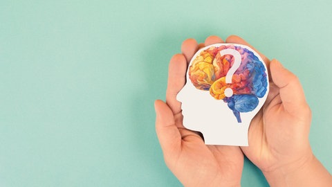 Abbildung eines Gehirns mit großem Fragezeichen. Symbolbild für Kreativität.