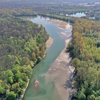 Der Rhein mit niedrigem Pegelstand. Symbolbild für die Nutzung der Ressourcen wie beispielsweise Wasser.