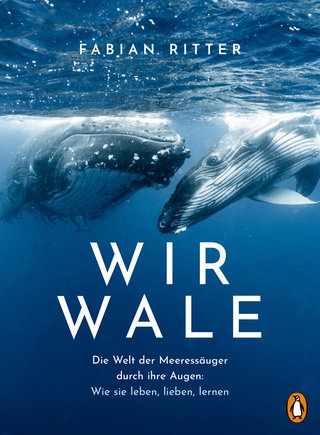 Cover: Wir Wale: Die Welt der Meeressäuger durch ihre Augen: Wie sie leben, lieben, lernen