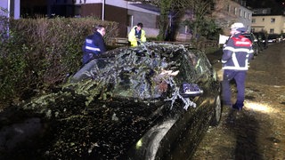 Ein vom Sturm abgebrochener Ast steckt in der Windschutzscheibe eines Autos