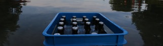Bierkasten im See Gut gekühlt | So bekommen Sie Getränke schnell kalt