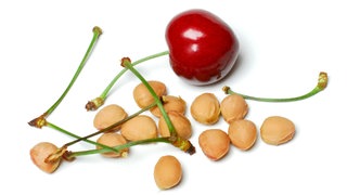 Kirschkerne und Kirsche | Kirschkernkissen selbst basteln