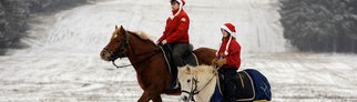 Weihnachts-Reiter am Erbeskopf