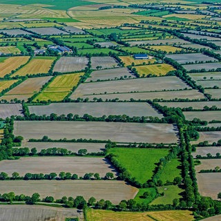 Heckenlandschaft auf der Husumer Geest