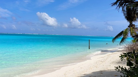 Alle Tipps für Ihren Urlaub