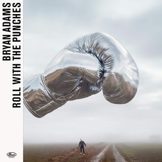 Cover von "Roll With The Punches" von Bryan Adams