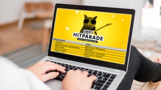 Symbolbild Statistiken für die SWR1 Hitparade