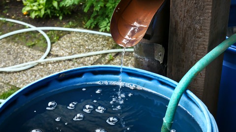 Mit dem Regendieb und einer Regentonne lässt sich gut Wasser für den Garten "klauen" und sammeln.