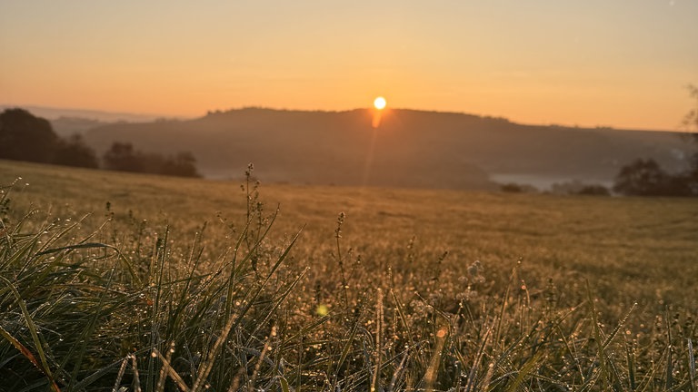 Herbstfoto von Sabrina Maas aus Merzkirchen