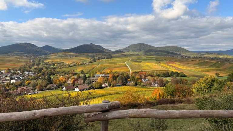 Herbstfoto von Horst Boffo aus Ludwigshafen