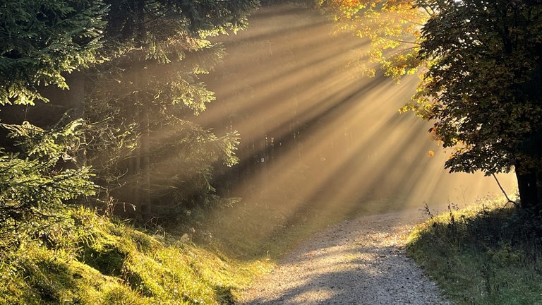 Herbstfoto von Elmar Kuttler aus Bockenau