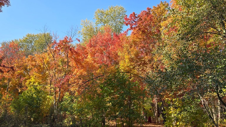 Dieses Herbstbild kommt von Wolfgang Kirsch, der im Nanhu-Park in Changchun in China unterwegs war. Vielen Dank für das schöne Foto!