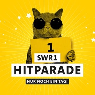 Nur noch heute abstimmen für die SWR1 Hitparade