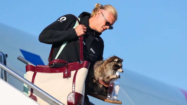 14. Juli: Was trägt der norwegische Fußballstar Erling Haaland da unterm Arm, als er in Oslo aus dem Flugzeug steigt? Einen ausgestopften Waschbären mit Flasche! 750 Dollar hat der Fußballer dafür gelöhnt, sagt er, und das Tier sei ihm quasi "nach Hause gefolgt". Eine außergewöhnlich WM-Erinnerung, so viel steht fest. 