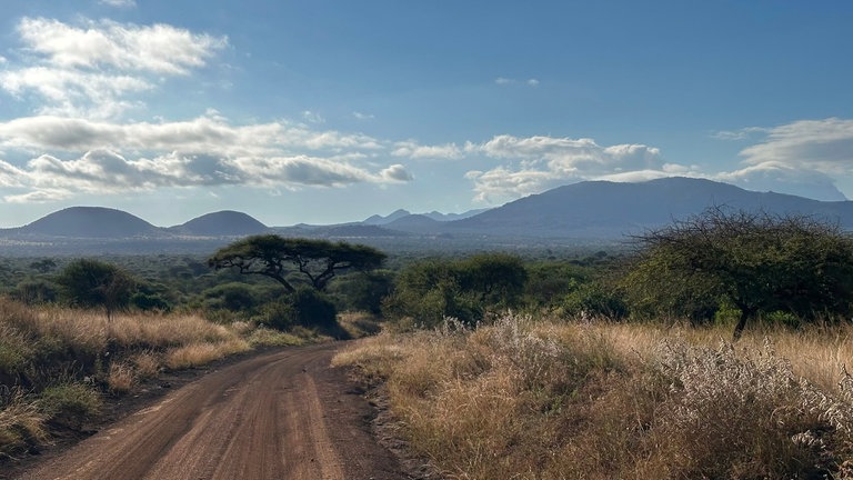 Urlaub in Kenia | Eure schönsten Urlaubsfotos 2026
