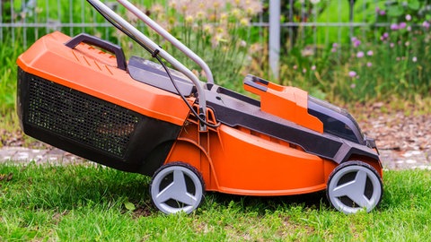 Nachbarschaftslärm durch Rasenmäher: Hier ist ein orangefarbener Rasenmäher in Großaufnahme zu sehen, der auf einem Rasen steht.