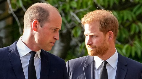 Die Royal-Brüder Prinz William und Prinz Harry stehen sich gegenüber und schauen sich gegenseitig an.