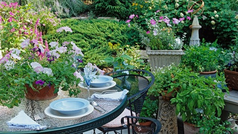 Ein Garten mit einem gedeckten Tisch.