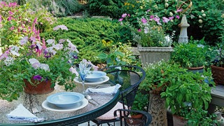 Ein Garten mit einem gedeckten Tisch.