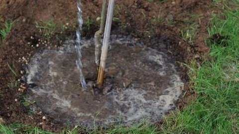 Frische Erde um den Baum wird gegossen