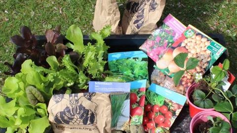 Heike Boomgaarden gestaltet ein Hochbeet