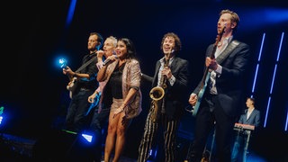 Die Hermes House Band beim SWR4 Festival in Wörth 2025