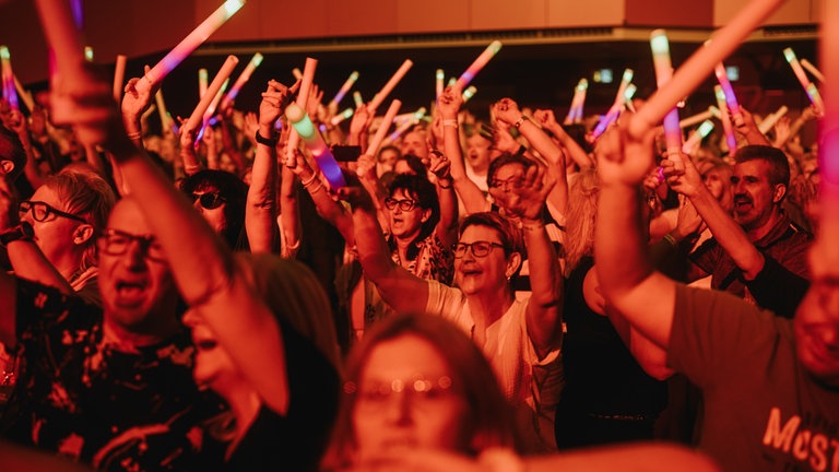 Die Hermes House Band beim SWR4 Festival in Wörth 2025