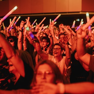 Die Hermes House Band beim SWR4 Festival in Wörth 2025