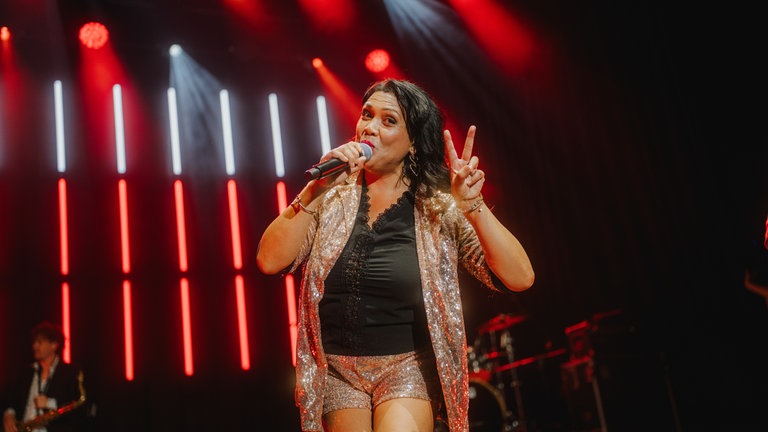 Die Hermes House Band beim SWR4 Festival in Wörth 2025