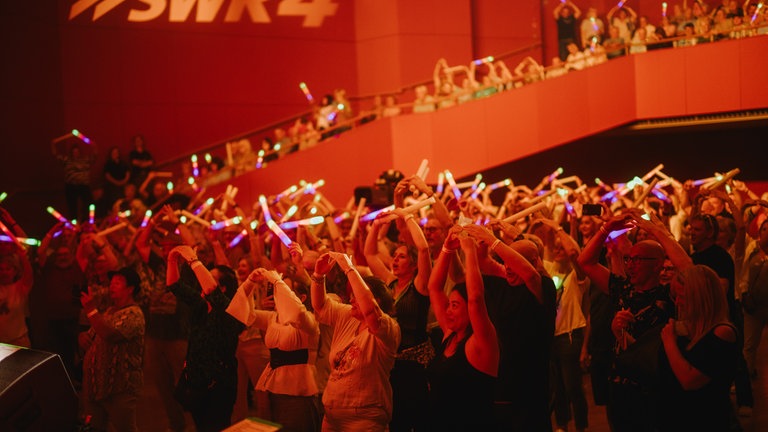 Die Hermes House Band beim SWR4 Festival in Wörth 2025