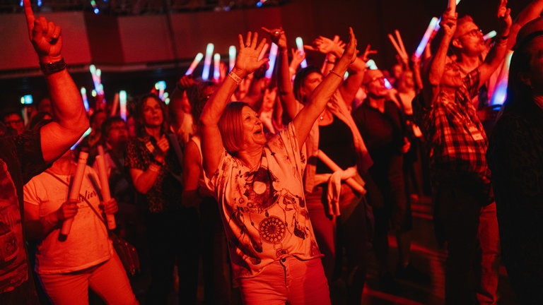 Konzert der Hermes House Band beim SWR4 Festival 2025 in Wörth